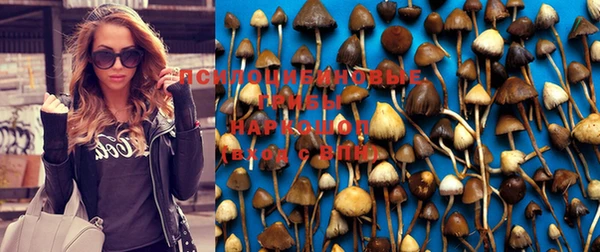 ешки Лихославль